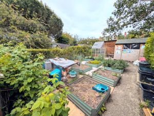 Photo 20- click for photo gallery